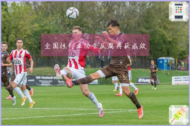 全国性行业协会反腐再获成效